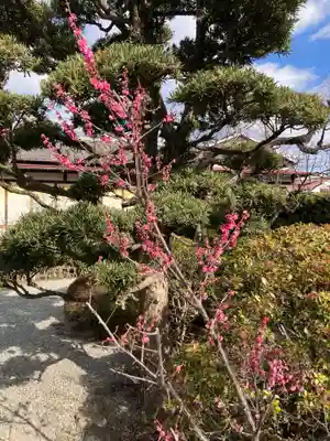 妙法寺(神奈川県)