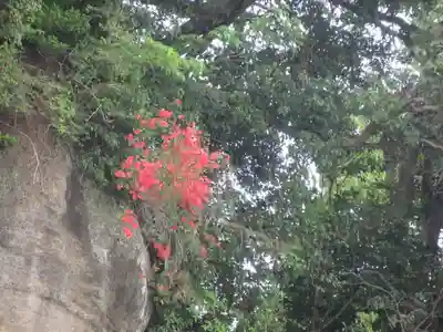 英勝寺(神奈川県)