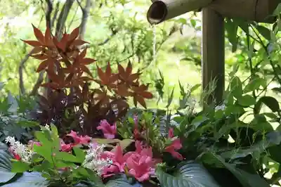 善法律寺(京都府)