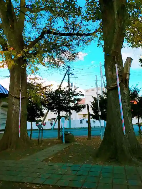 中の島神社(北海道)