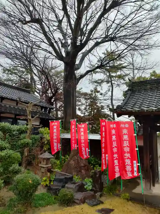 青林山 延命寺の庭園