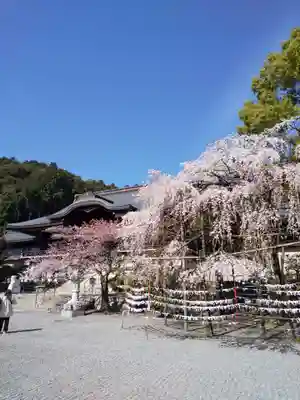 近江神宮(滋賀県)