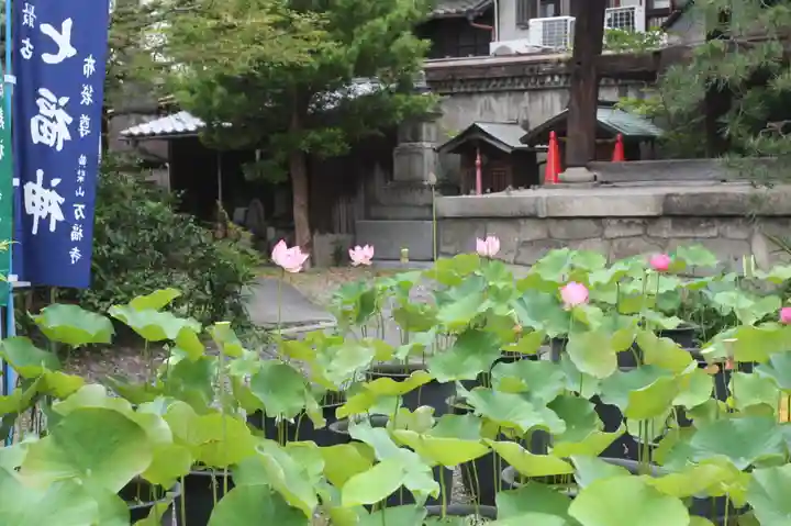 行願寺(革堂)(京都府)