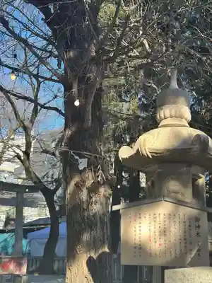 草加神社(埼玉県)