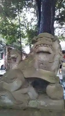 大宮・大原神社の狛犬