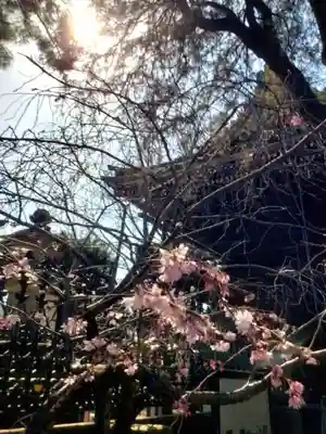 妙法寺(東京都)