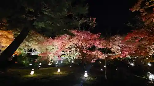宝厳院(京都府)