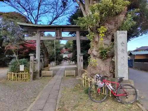 畑子安神社の鳥居