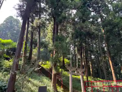 大宮温泉神社の鳥居