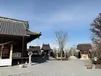 栗橋八坂神社(埼玉県)
