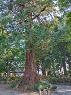 富士山法華本門寺根源(静岡県)