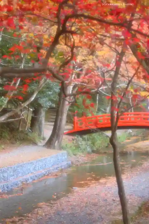 小國神社(静岡県)