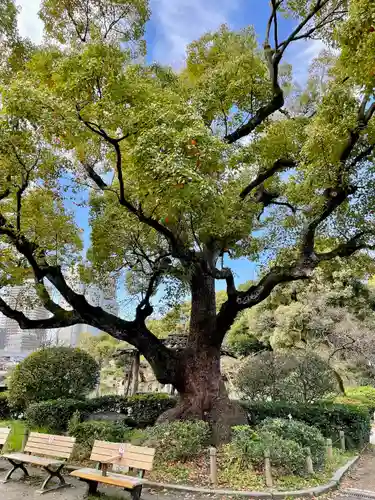 牛嶋神社(東京都)