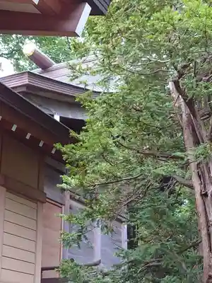 相馬神社の本殿・本堂