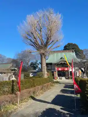 大洞院(千葉県)