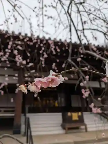 妙法寺(東京都)
