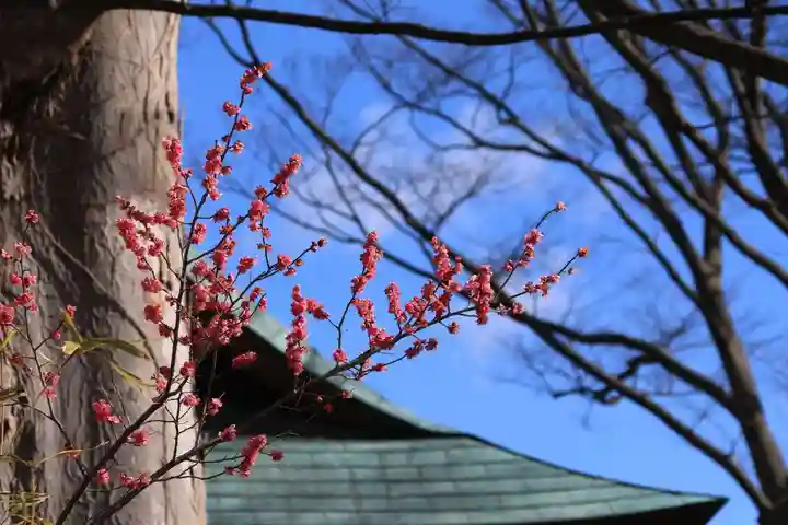 愛宕神社の自然