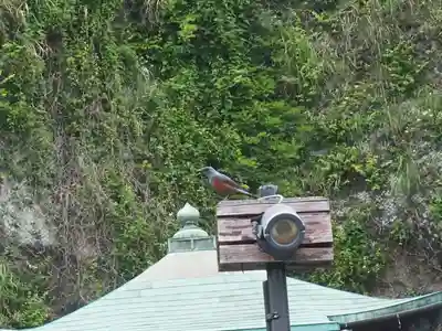 薬王寺(神奈川県)