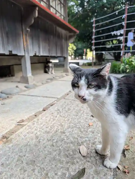 雀神社(茨城県)