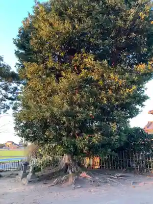 篠塚神社(千葉県)