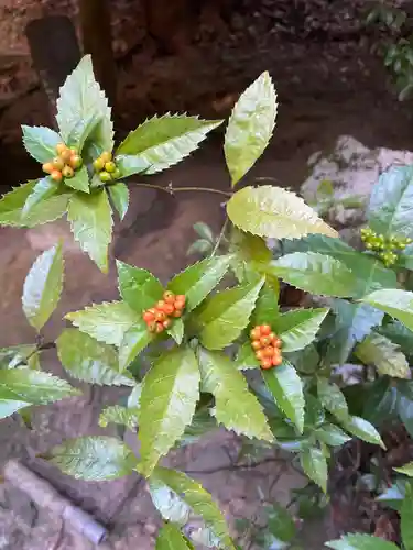 彦嶽宮のその他建物