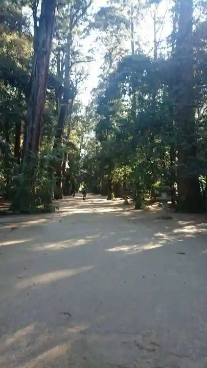 鹿島神宮の自然