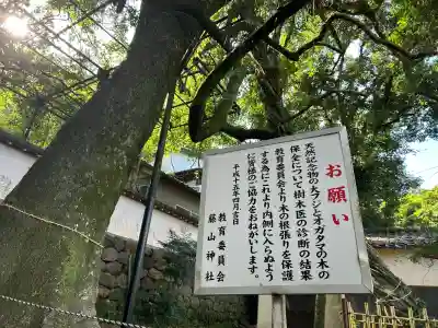 藤山神社(長崎県)