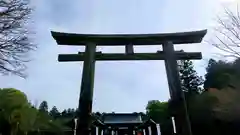 吉野神宮の鳥居