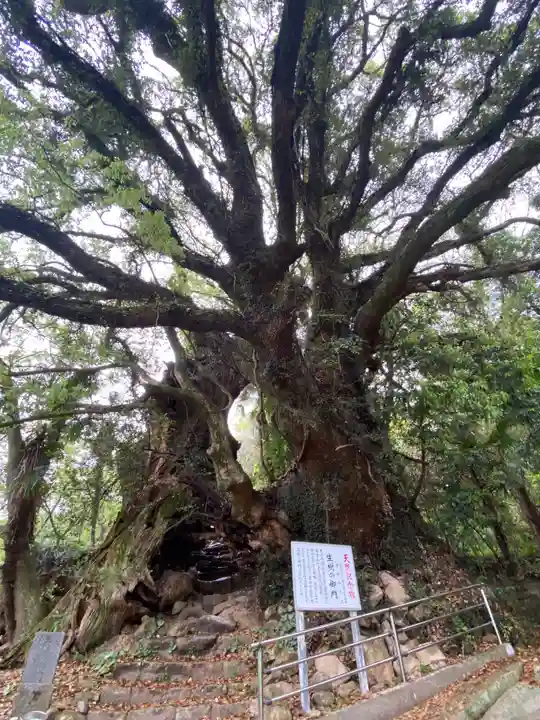 大山祇神社奥の院 生樹の御門(愛媛県)