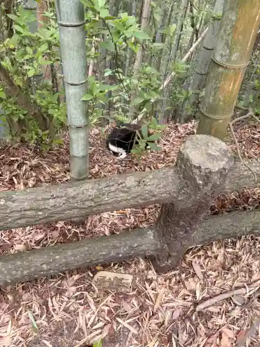 玉野御嶽神社(愛知県)