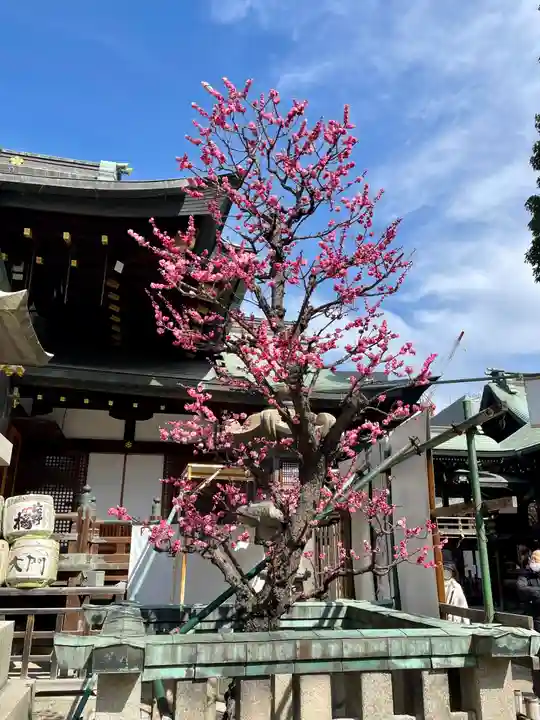 大阪天満宮のその他建物