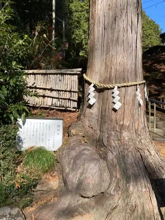 神場山神社(静岡県)