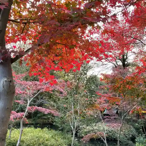 深大寺の庭園