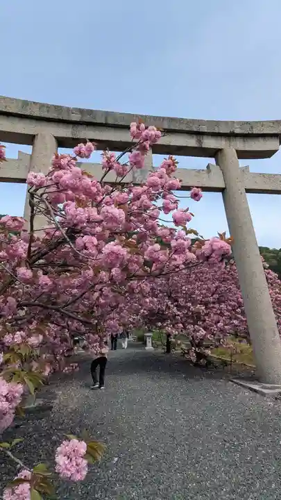 伊香具神社(滋賀県)