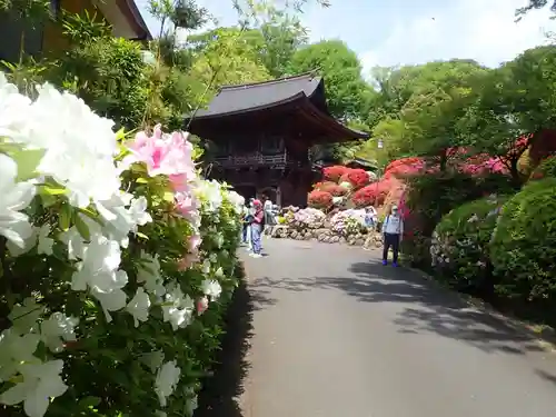 等覚院の御朱印