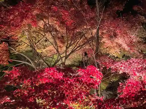 東漸寺(千葉県)