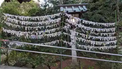高知大神宮のおみくじ