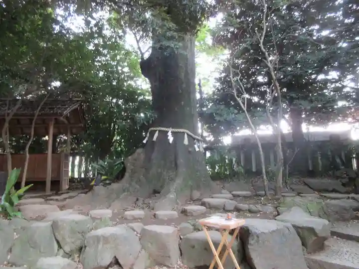 川越氷川神社のその他建物