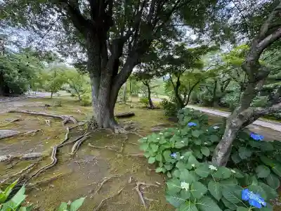勧修寺(京都府)