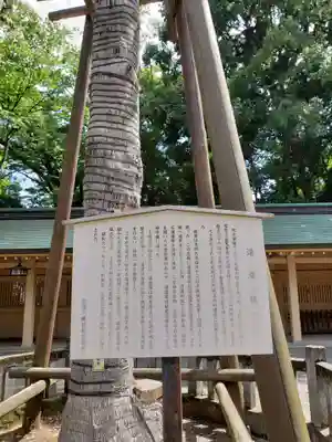 荻窪八幡神社(東京都)