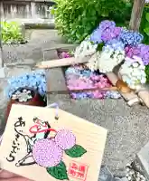 極楽寺(静岡県)