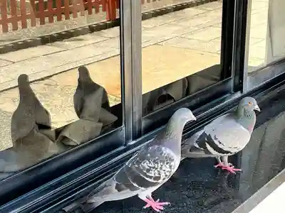 開口神社(大阪府)