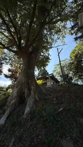 二俣神社(宮城県)