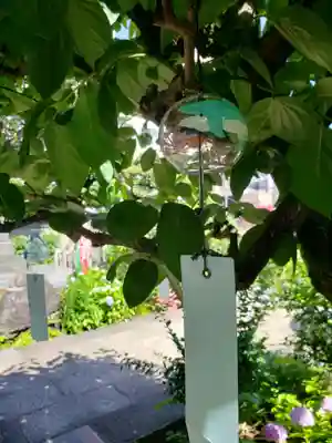 一乗寺(東京都)