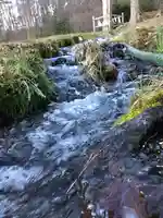 諏訪大社上社前宮の自然