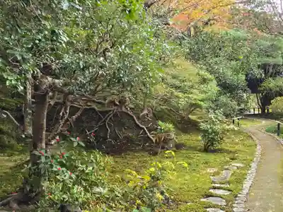 霊鑑寺門跡(京都府)