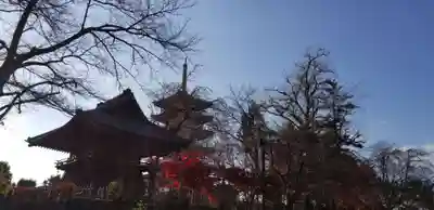 本土寺のその他建物