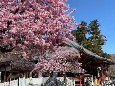 楽法寺（雨引観音）(茨城県)