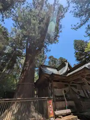 近津神社(茨城県)