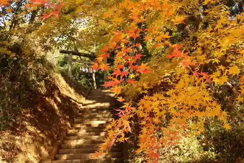 香取神宮(千葉県)